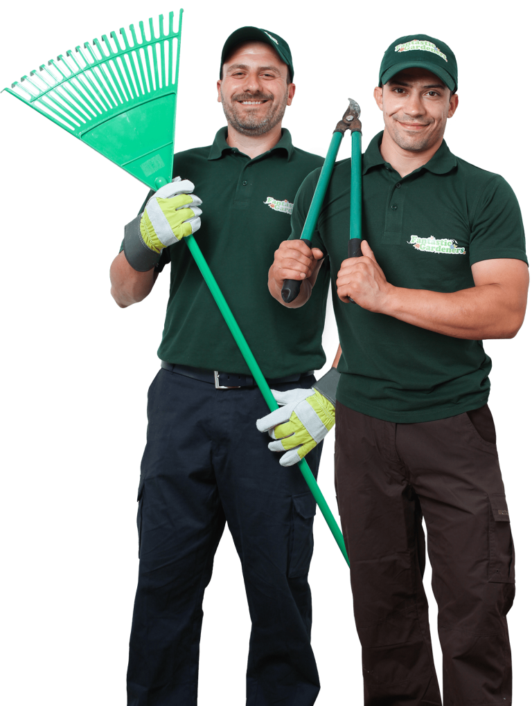 Gardening service in Mandurah copy